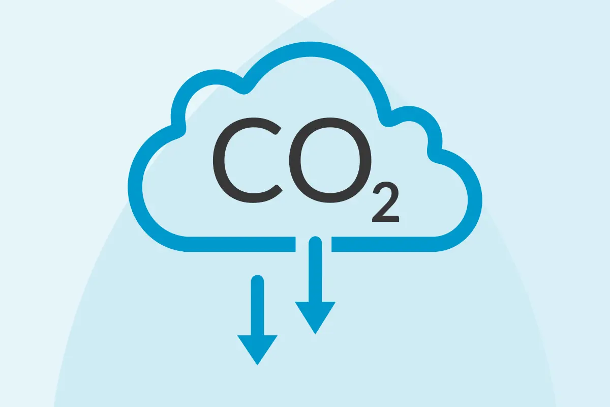 Carbon Sustainability Reporting