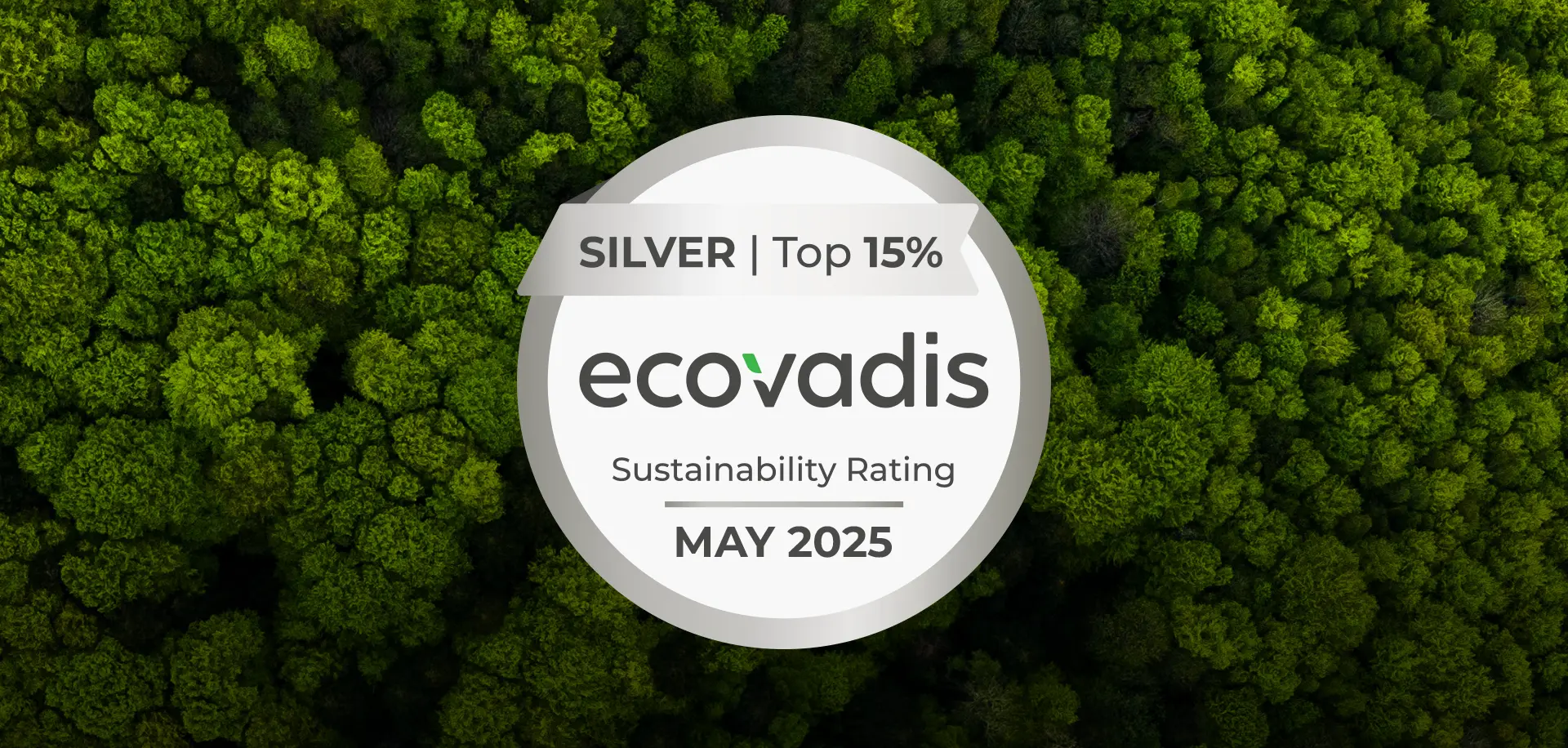 Silver EcoVadis Rating